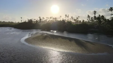 Flying over river to coconut trees Stock Footage 145690167