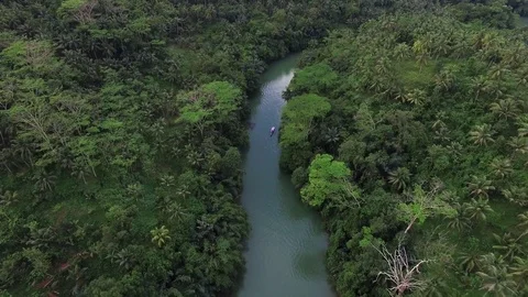 Flying over the RIver. Field and Forest aerial Video stock 75700280