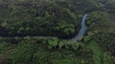 Flying over the RIver. Field and Forest aerial Stock Footage 75701940