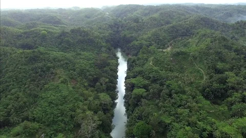 Flying over the RIver. Field and Forest aerial Stock Footage 75702007
