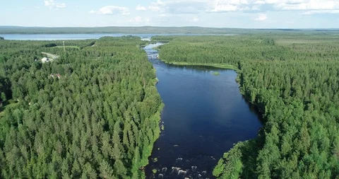 Flying over river flowing through forest. Stock Footage 119375188