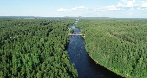 Flying over a river flowing through forest in countryside Stock Footage 119375386