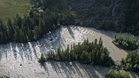Flying over a river flowing through a forest Brown water background 4k Stock Footage 124743856