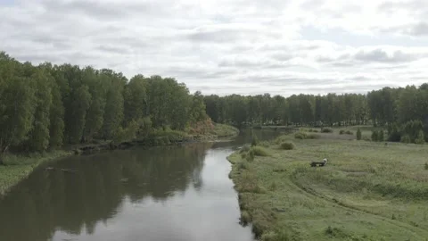 Flying over the river, forest, field. Shooting 4K. 10 Bit (DLog-M) Stock Footage 150803989