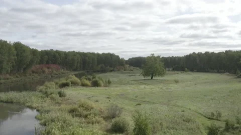 Flying over the river, forest, field. Shooting 4K. 10 Bit (DLog-M) Stock Footage 150804446
