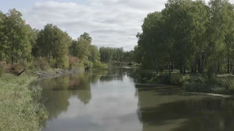 Flying over the river, forest, field. Shooting 4K. 10 Bit (DLog-M) Stock Footage 150804601