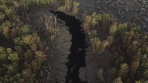 Flying over the river, forest, field. Shooting 4K. 10 Bit (DLog-M) Stock Footage 150805675