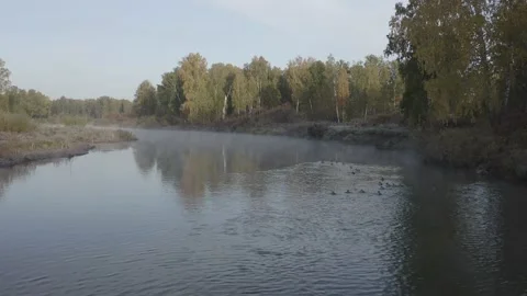 Flying over the river, forest, field. Shooting 4K. 10 Bit (DLog-M) Stock Footage 150806186