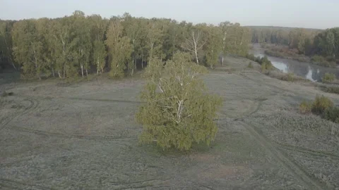 Flying over the river, forest, field. Shooting 4K. 10 Bit (DLog-M) Stock Footage 150806636