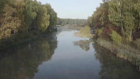 Flying over the river, forest, field. Shooting 4K. 10 Bit (DLog-M) Stock Footage 150809242