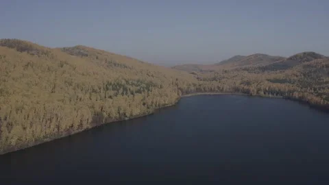 Flying over the river, forest, field. Shooting 4K. 10 Bit (DLog-M) Stock Footage 150809585