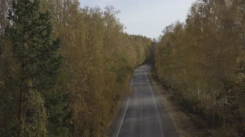 Flying over the river, forest, field. Shooting 4K. 10 Bit (DLog-M) Stock Footage 150809690