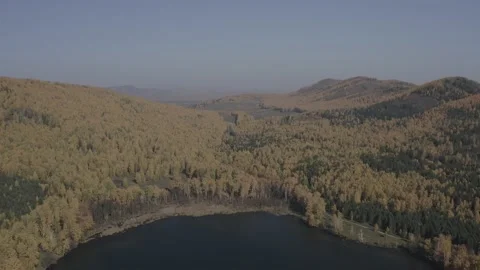 Flying over the river, forest, field. Shooting 4K. 10 Bit (DLog-M) Stock Footage 150810512