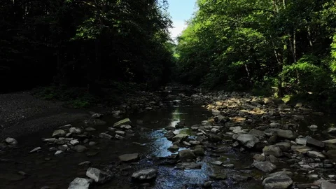Flying over the river in forest. Stock Footage 111391152