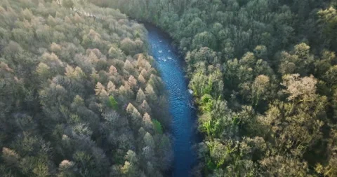 Flying over a river in the forest Video stock 237825944