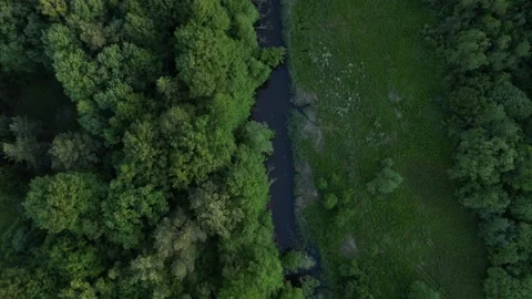 Flying over a river by the forest Stock Footage 257718423