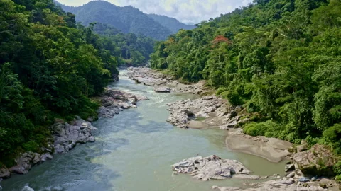 Flying over a river with granite rocks in a tropical forest: nature background Stock Footage 169927225