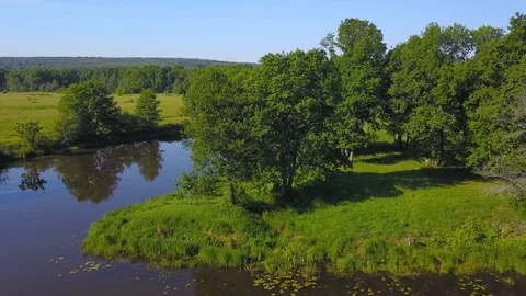 Flying over the river, green forest and meadow on sunny summer day Stock Footage 97260443