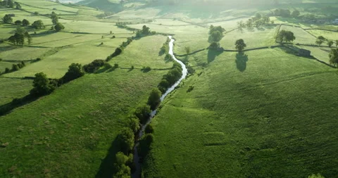 Flying over river in the green valley Stock Footage 312528683