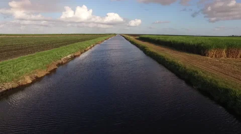 Flying over River at low altitude to High altitude reveal of cane fields Stock Footage 57687068