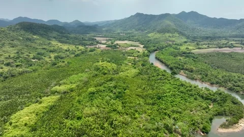 Flying over a river in the middle of a tropical jungle Stock Footage 246350033