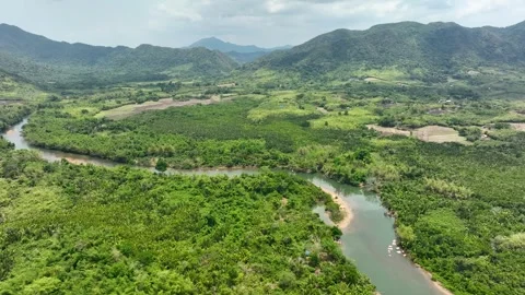 Flying over a river in the middle of a tropical jungle Stock Footage 246661276