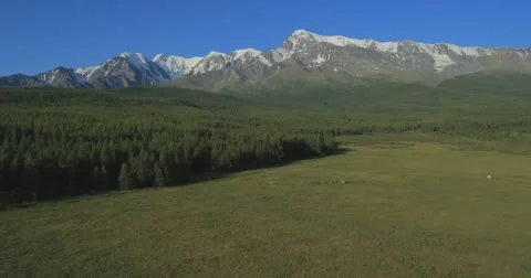 Flying over the River. Mountains of Altai, Siberia. Kurai Steppe Stock Footage 62342603