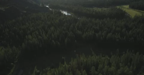 Flying over the River. Mountains of Altai, Siberia. Kurai Steppe Stock Footage 62640598