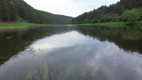 Flying over the river in the nature in the forest Stock Footage 244517504