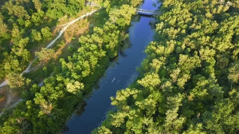 Flying over the river on a sunny bright day, people resting on kayaks and sapa Stock Footage 195099719