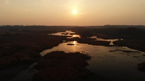 Flying Over the River, Sunset Over the Autumn Swamp Stock Footage 97999977