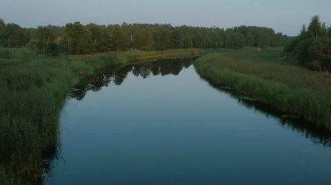 Flying over River Surrounded by Large Green Forest Stock Footage 68398328