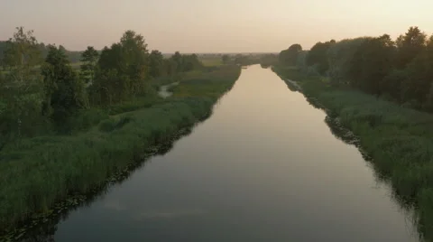 Flying over River Surrounded by Large Green Forest at Sunset Time Stock Footage 68399995