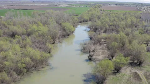 Flying over a river surrounded by a thick forest Видео 152024378