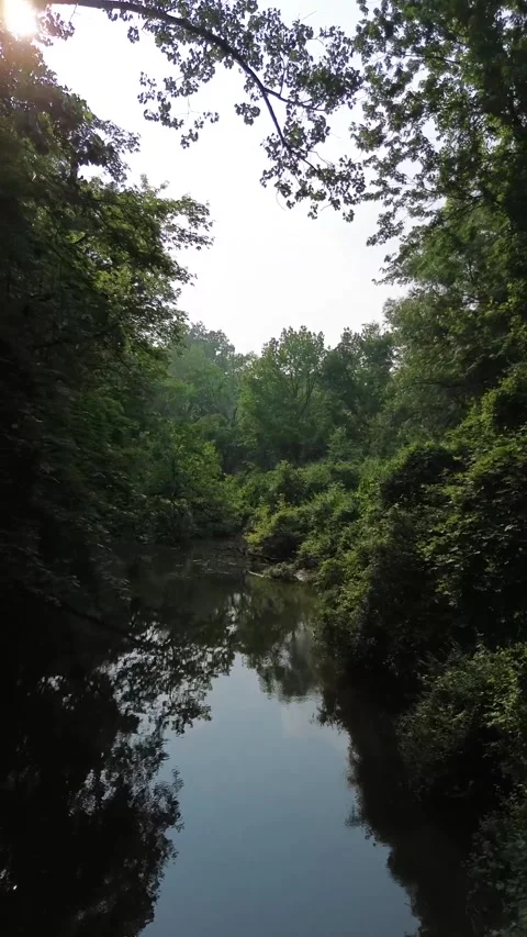 Flying over a river through the trees Stock Footage 311575914