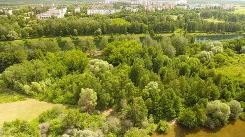 Flying over the river with trees on the background of the city. 動画素材 109461758