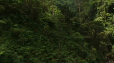 Flying over river valley Stock Footage 286513