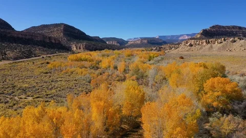 Flying Over A Riverbed Where Trees With Yellow Foliage Grow On A Sunny Fall Day Stock Footage 119656660