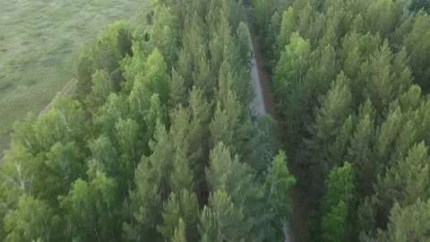 Flying over the road on the edge of the forest Stock-Footage 155077100