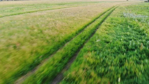 Flying over the road in the field Stock Footage 111658145