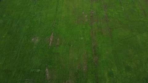 Flying over the road in the field Stock Footage 157900091