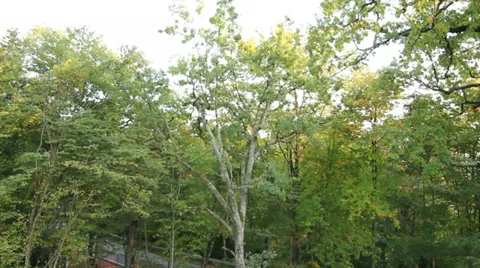 Flying over the road Stock Footage 38546017