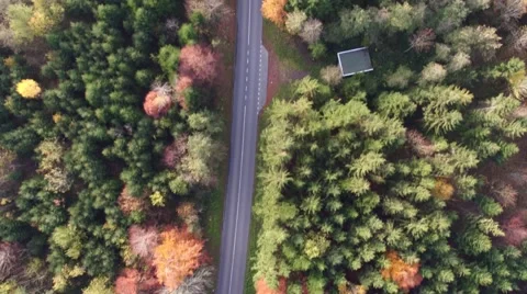 Flying over road in forest 스톡 동영상 61462435