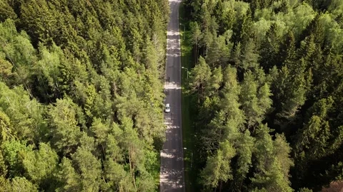 Flying over a road passing through a forest Stock Footage 132696446
