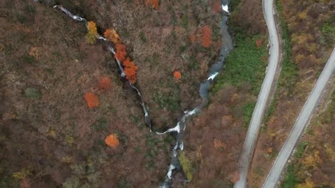 Flying over the road, river, gorge, golden autumn, Italy, Alps 動画素材 256164091