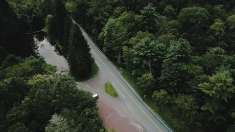 Flying over road through Hickory Run State Park forest, graded 4k Vidéo 281914727