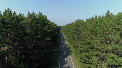 Flying over the roadway through a dense forest Video stock 93029550