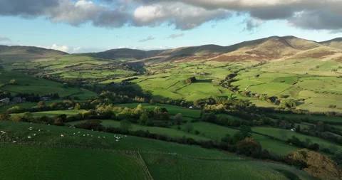 Flying over rolling hills in the valley Stock Footage 220141552