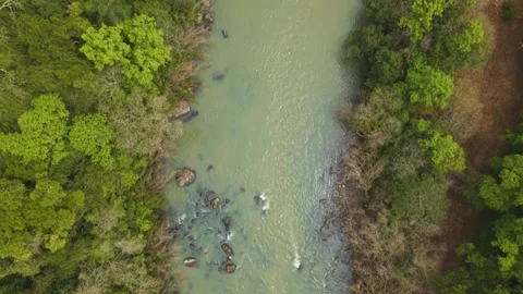 Flying over a rushing turquoise river flowing amid trees. Irani river. Stock Footage 317657868