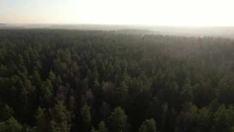 Flying over the Russian forest at sunset 動画素材 168489280